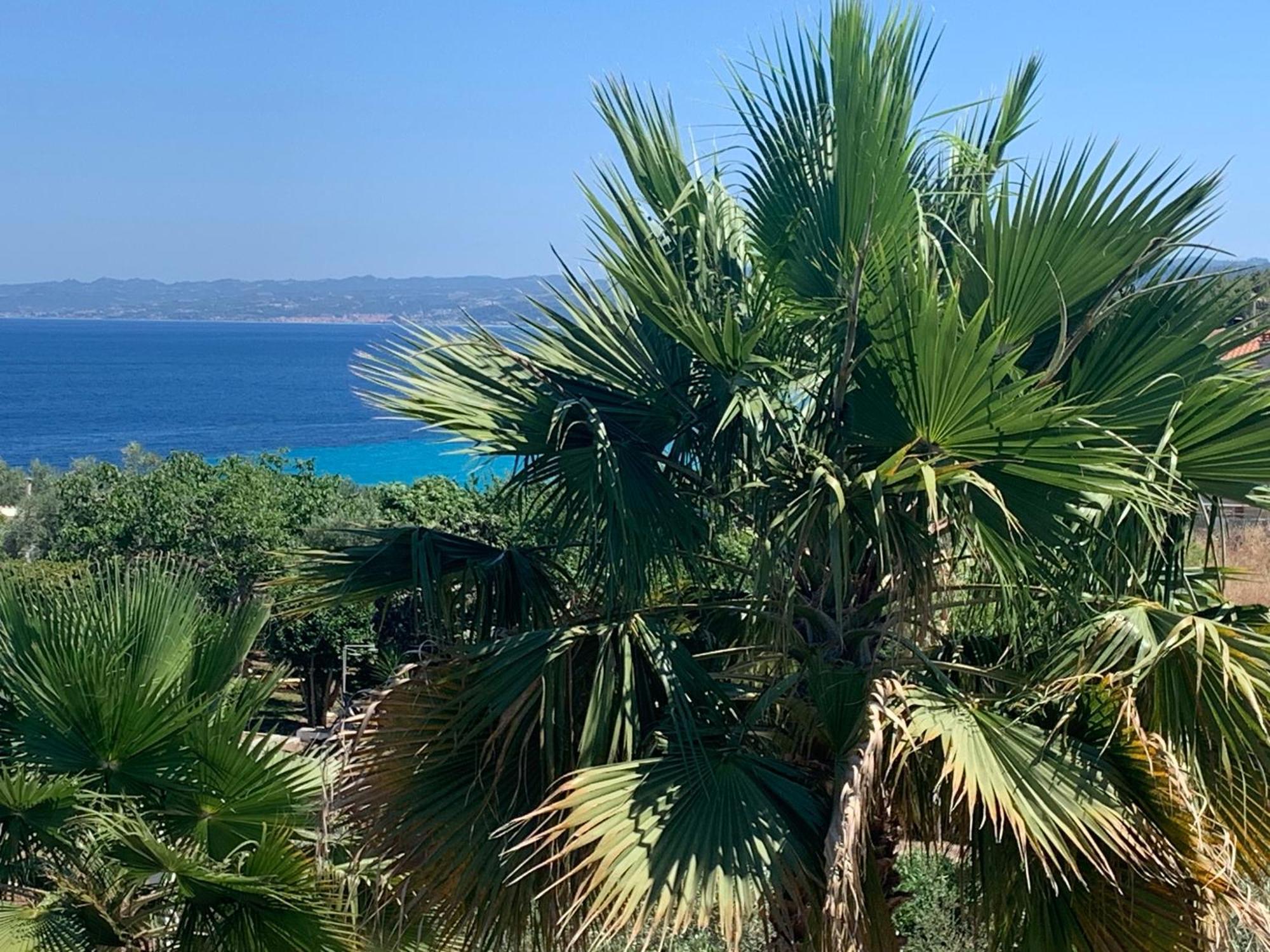 Villa Evita , Penthouse, 53M2 ,Athytos 450M From The Beach Άφυτος Εξωτερικό φωτογραφία