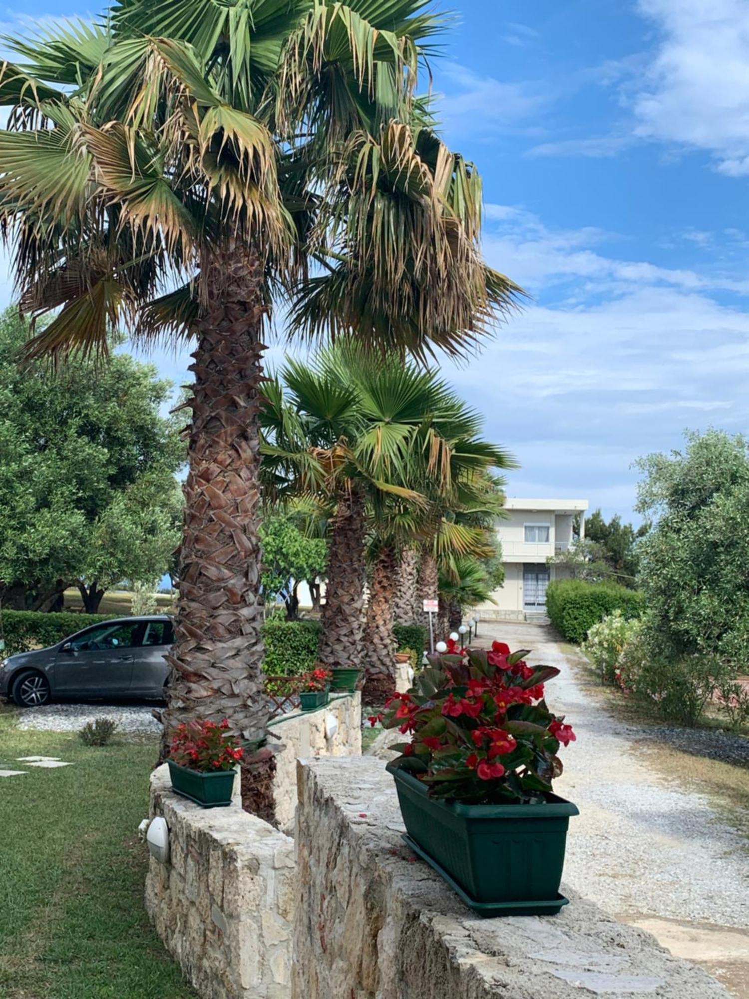 Villa Evita , Penthouse, 53M2 ,Athytos 450M From The Beach Άφυτος Εξωτερικό φωτογραφία